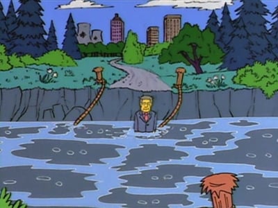Simpsonai 5 Sezonas - 20 Serija