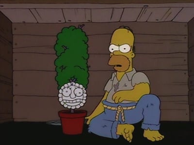 Simpsonai 5 Sezonas - 22 Serija
