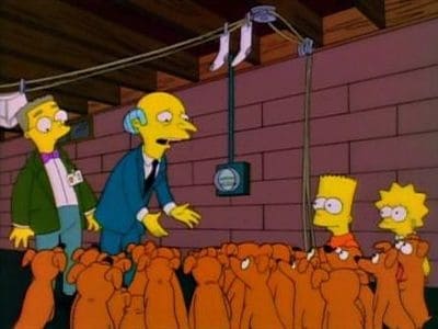 Simpsonai 6 Sezonas - 20 Serija