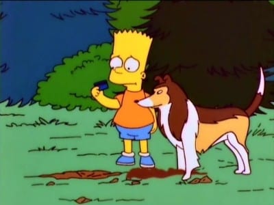 Simpsonai 8 Sezonas - 20 Serija