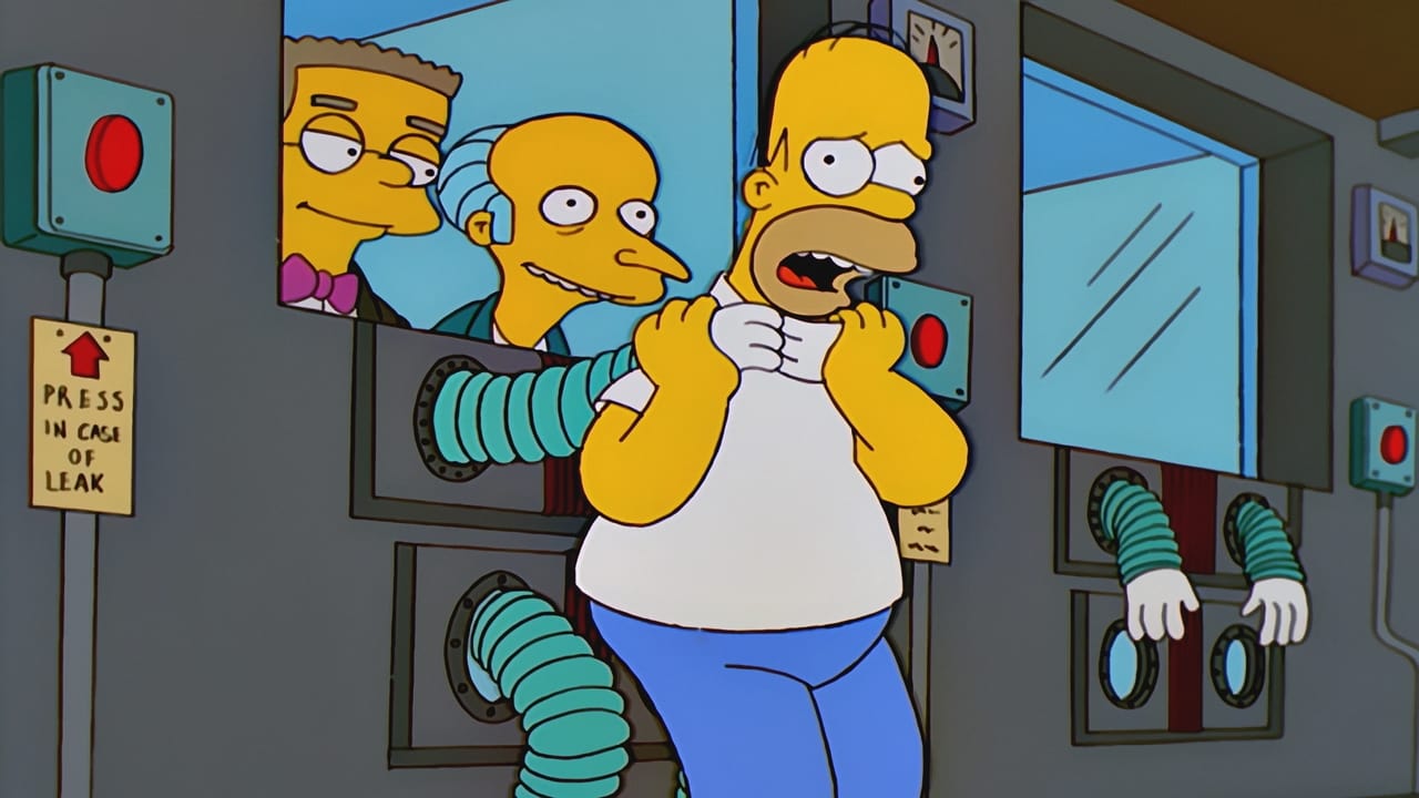 Simpsonai 11 Sezonas - 6 Serija