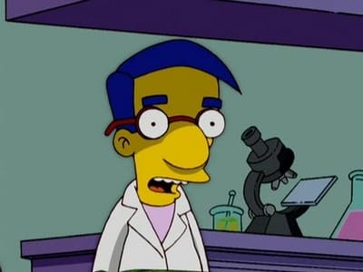 Simpsonai 18 Sezonas - 11 Serija